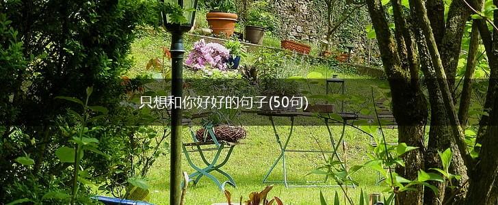 只想和你好好的句子(50句),第1张