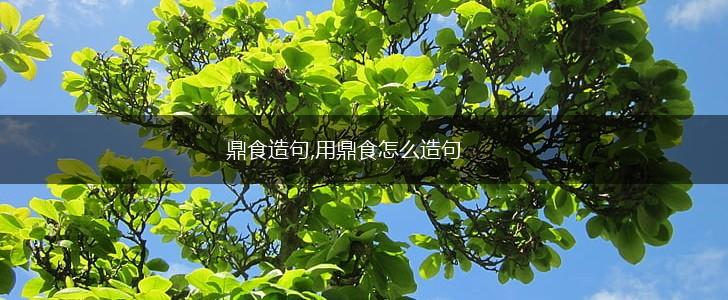 鼎食造句,用鼎食怎么造句,第1张