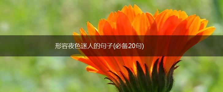 形容夜色迷人的句子(必备20句),第1张