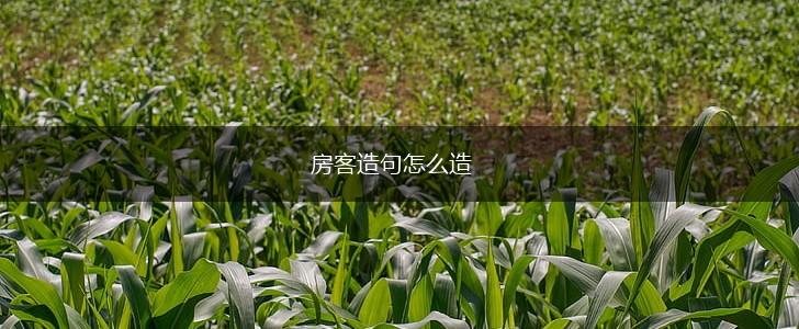房客造句怎么造,第1张 房客造句怎么造,第1张