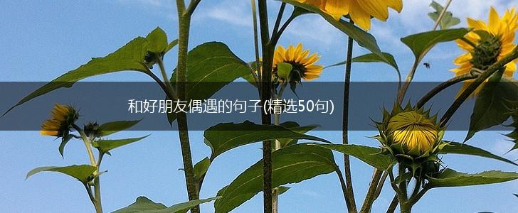 和好朋友偶遇的句子(精选50句),第1张
