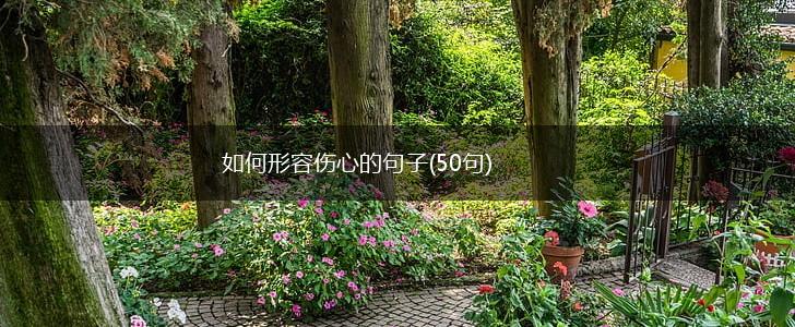 如何形容伤心的句子(50句),第1张