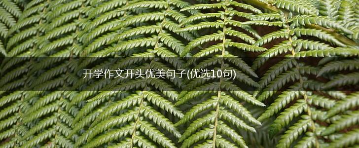 开学作文开头优美句子(优选10句),第1张