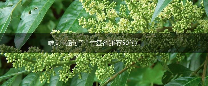 唯美内涵句子个性签名(推荐50句),第1张