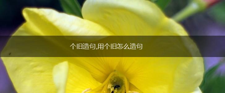 个旧造句,用个旧怎么造句,第1张 个旧造句,用个旧怎么造句,第1张