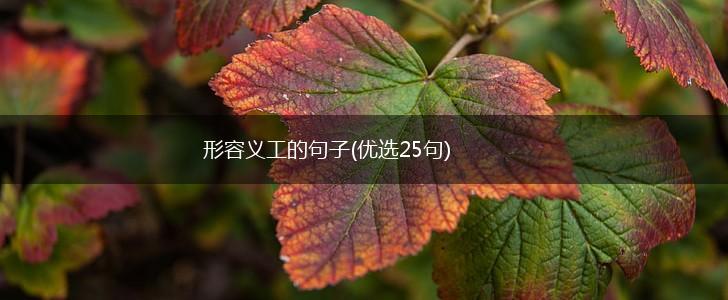 形容义工的句子(优选25句),第1张