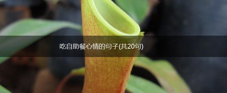 吃自助餐心情的句子(共20句),第1张