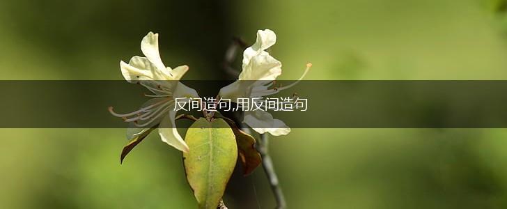 反间造句,用反间造句,第1张 反间造句,用反间造句,第1张