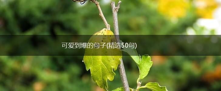 可爱到爆的句子(精选50句),第1张