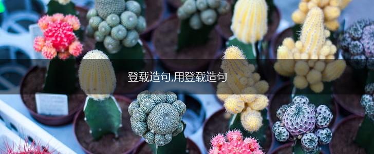 登载造句,用登载造句,第1张