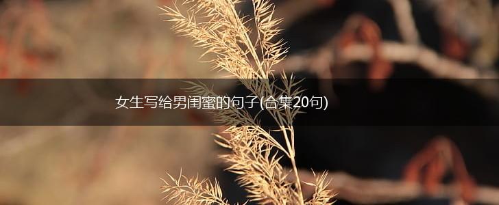 女生写给男闺蜜的句子(合集20句),第1张