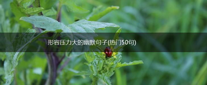 形容压力大的幽默句子(热门50句),第1张