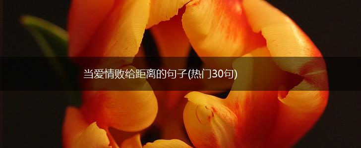 当爱情败给距离的句子(热门30句),第1张