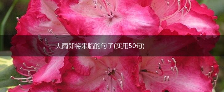 大雨即将来临的句子(实用50句),第1张