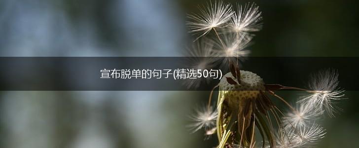 宣布脱单的句子(精选50句),第1张