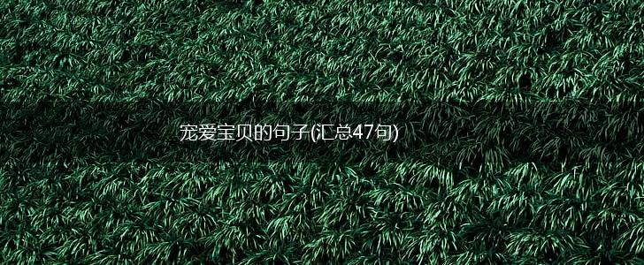宠爱宝贝的句子(汇总47句),第1张