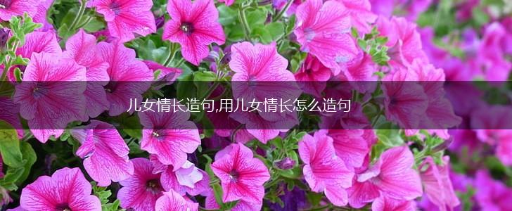儿女情长造句,用儿女情长怎么造句,第1张 儿女情长造句,用儿女情长怎么造句,第1张