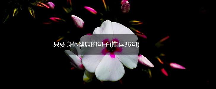 只要身体健康的句子(推荐36句),第1张