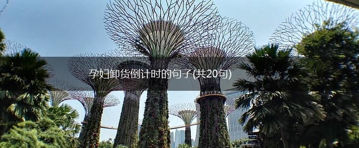 孕妇卸货倒计时的句子(共20句),第1张