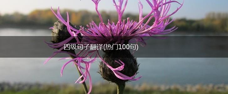 四级句子翻译(热门100句),第1张