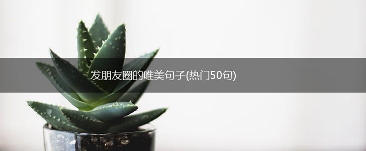 发朋友圈的唯美句子(热门50句),第1张