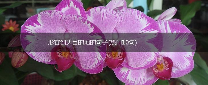 形容到达目的地的句子(热门10句),第1张