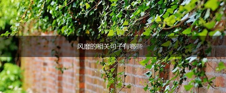 风靡的相关句子有哪些,第1张 风靡的相关句子有哪些,第1张