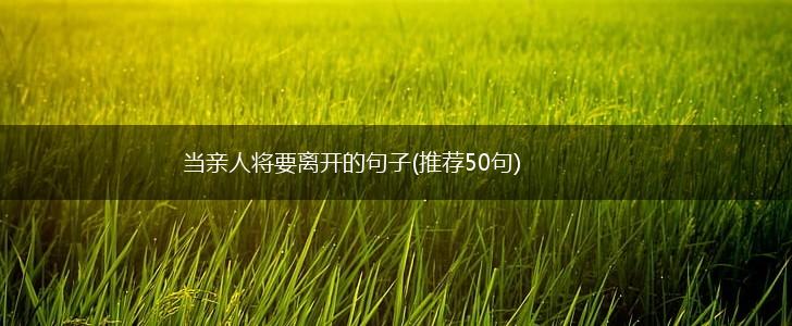 当亲人将要离开的句子(推荐50句),第1张