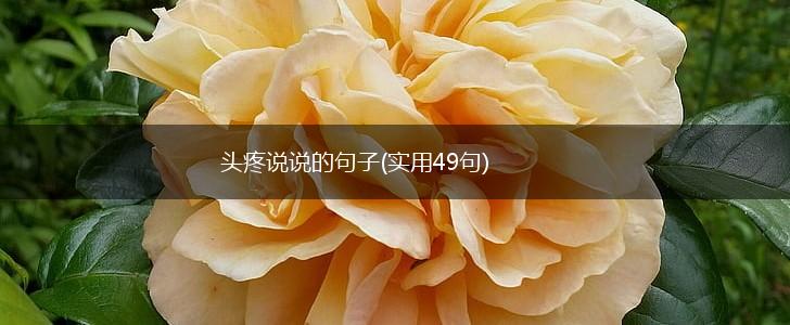 头疼说说的句子(实用49句),第1张