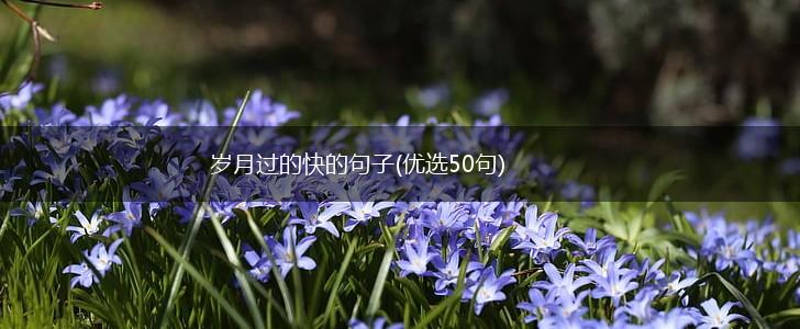 岁月过的快的句子(优选50句),第1张
