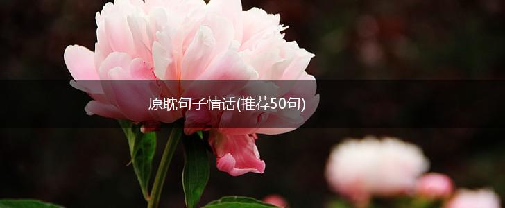 原耽句子情话(推荐50句),第1张