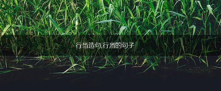 行当造句,行当的句子,第1张 行当造句,行当的句子,第1张