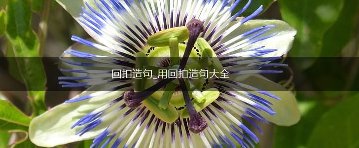 回扣造句_用回扣造句大全,第1张 回扣造句_用回扣造句大全,第1张