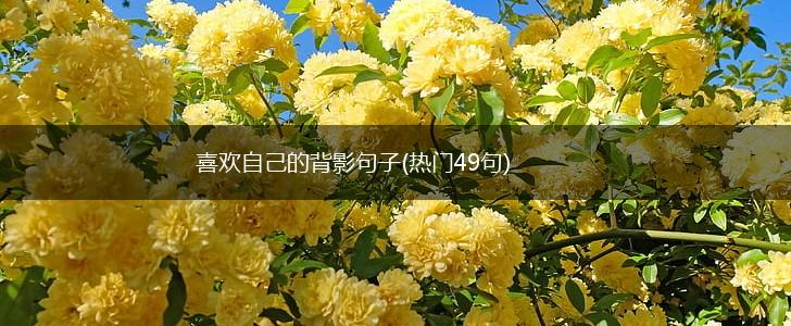 喜欢自己的背影句子(热门49句),第1张