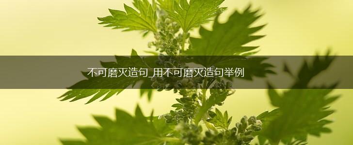 不可磨灭造句_用不可磨灭造句举例,第1张
