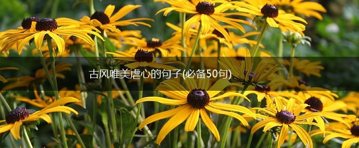 古风唯美虐心的句子(必备50句),第1张
