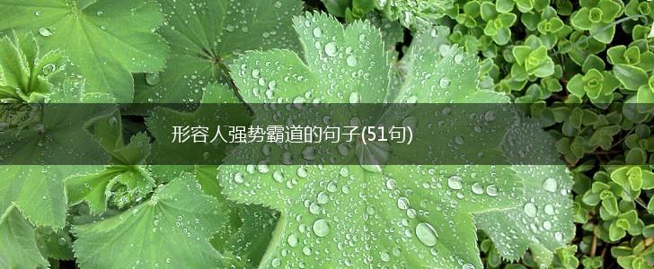 形容人强势霸道的句子(51句),第1张