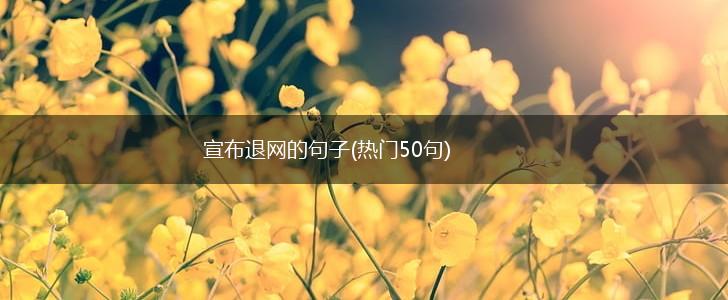宣布退网的句子(热门50句),第1张