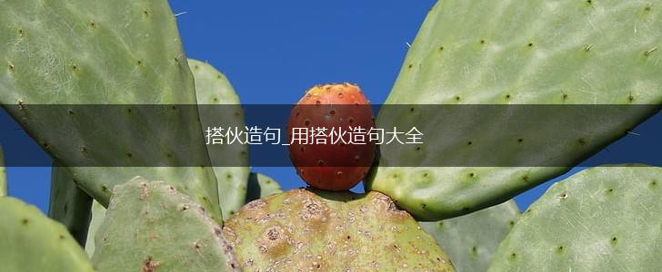 搭伙造句_用搭伙造句大全,第1张