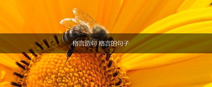格言造句 格言的句子,第1张 格言造句 格言的句子,第1张