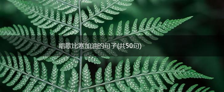 唱歌比赛加油的句子(共50句),第1张
