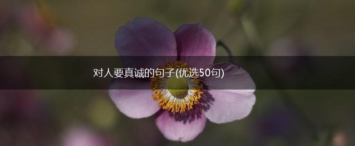 对人要真诚的句子(优选50句),第1张