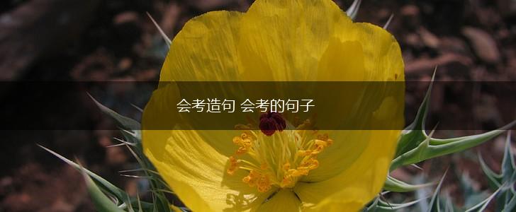 会考造句 会考的句子,第1张 会考造句 会考的句子,第1张