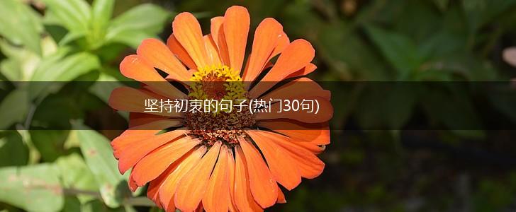 坚持初衷的句子(热门30句),第1张