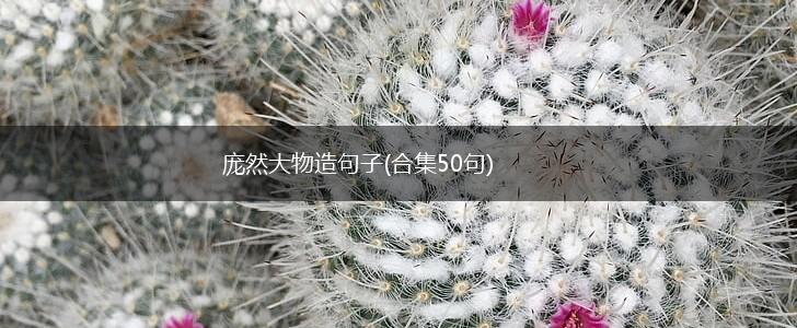 庞然大物造句子(合集50句),第1张