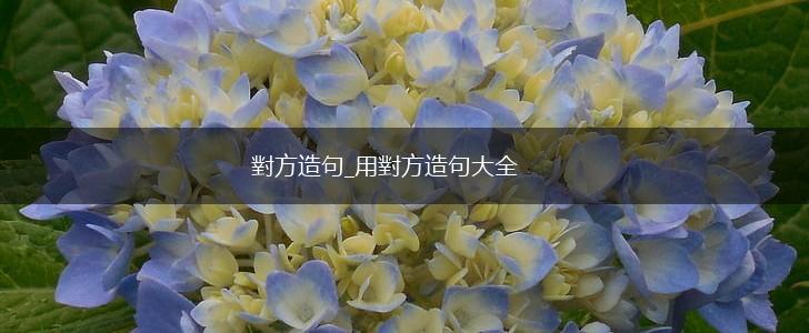 對方造句_用對方造句大全,第1张 對方造句_用對方造句大全,第1张
