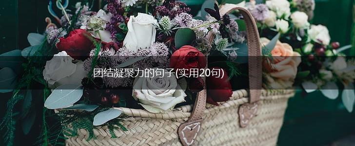 团结凝聚力的句子(实用20句),第1张
