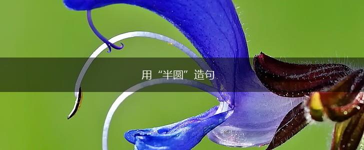 用“半圆”造句,第1张