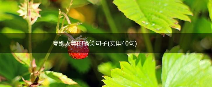 夸别人美的搞笑句子(实用40句),第1张