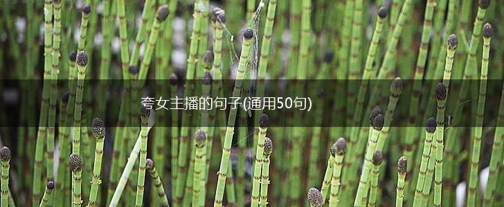 夸女主播的句子(通用50句),第1张